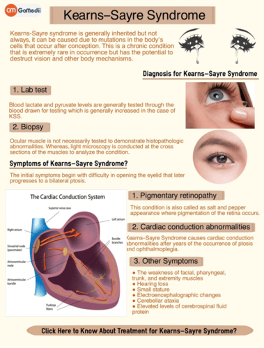 <p>Aside from genetic testing, how can we dx <strong>Kearns-Sayre syndrome</strong>?</p>
