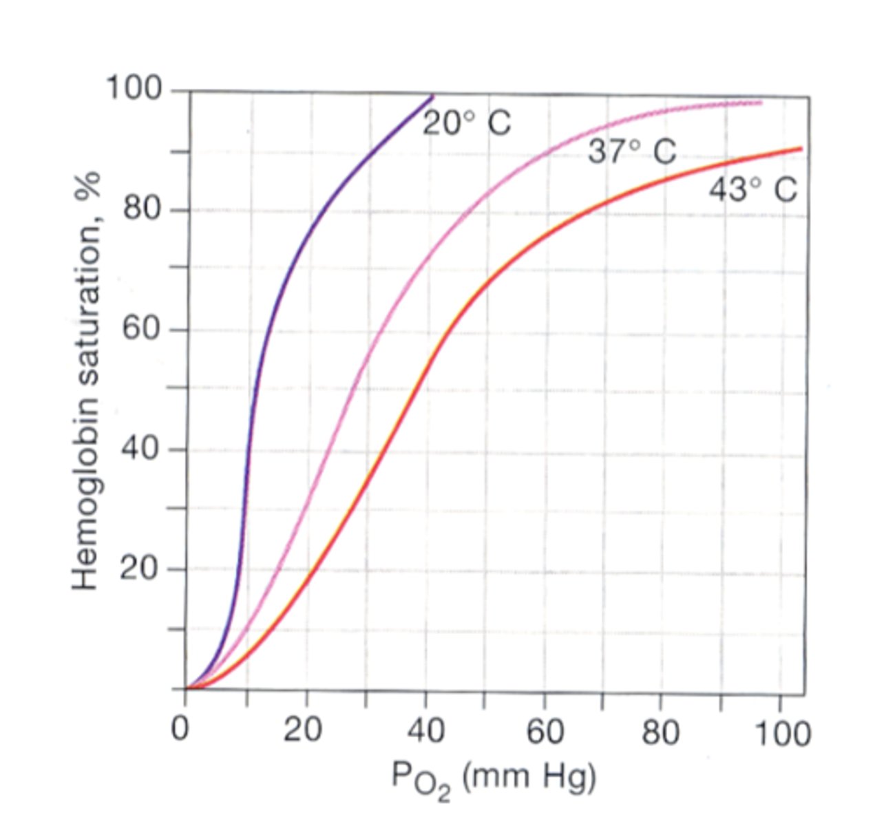 <p>True ==&gt; high temp decreases binding affinity </p>