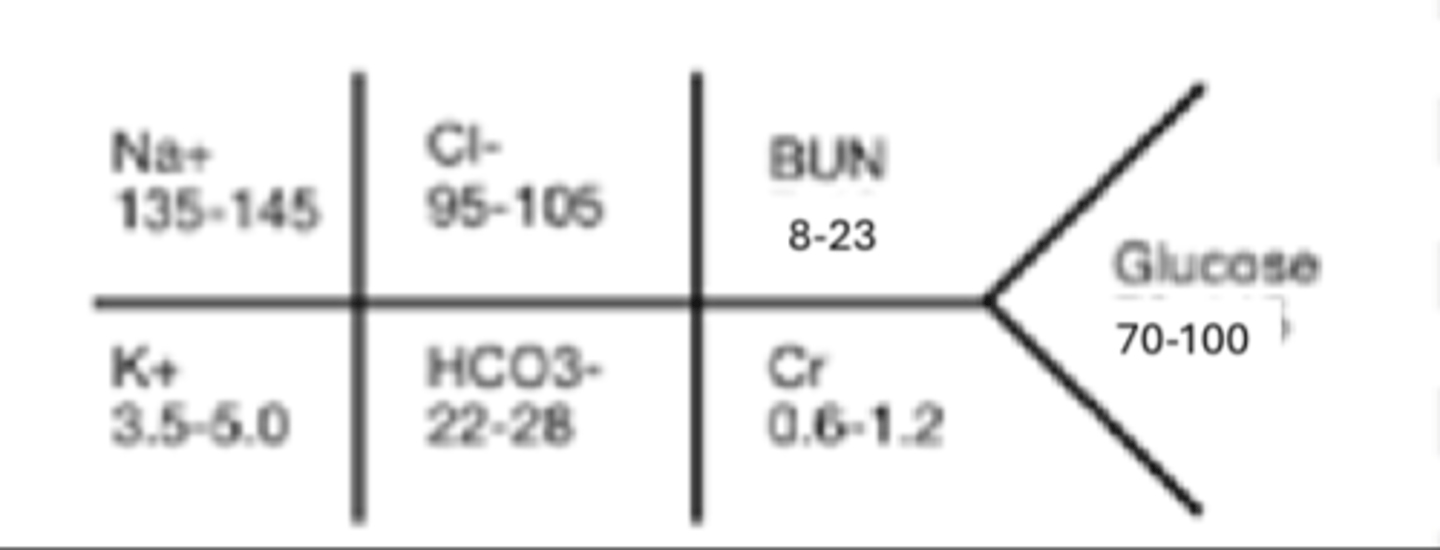 <p>• Na+-Sodium</p><p>• K+-Potassium</p><p>• Cl- Chloride</p><p>• HCO3- Bicarbonate</p><p>• BUN-Blood Urea Nitrogen</p><p>• Cr-Creatinine</p><p>• Glucose-Glucose</p>