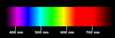 <p>We see 400-700nm of visible light, which includes all colours from violet to red</p><ul><li><p>Human eyes evolved in water, where seawater is most transparent to light &lt;500nm (blue-green) shaping our visual system to detect these wavelengths.</p></li></ul><p></p>