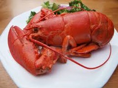 <p>a lobster</p>