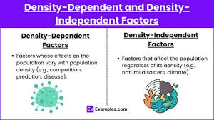 <p>Limit growth more strongly as population density increases (e.g., competition, predation).</p>