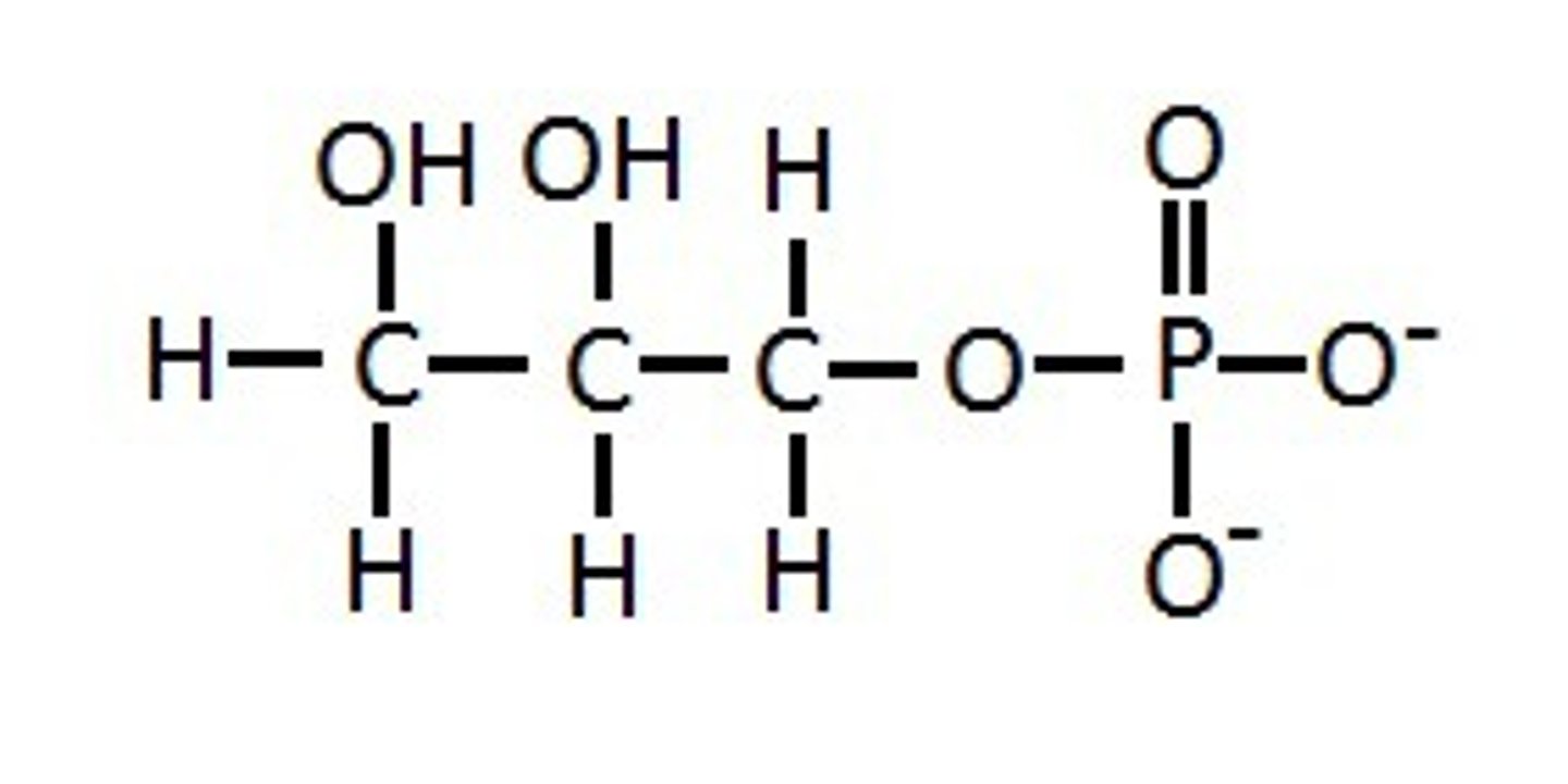 <p>What compound is this and what functional group(s) can you see?</p>