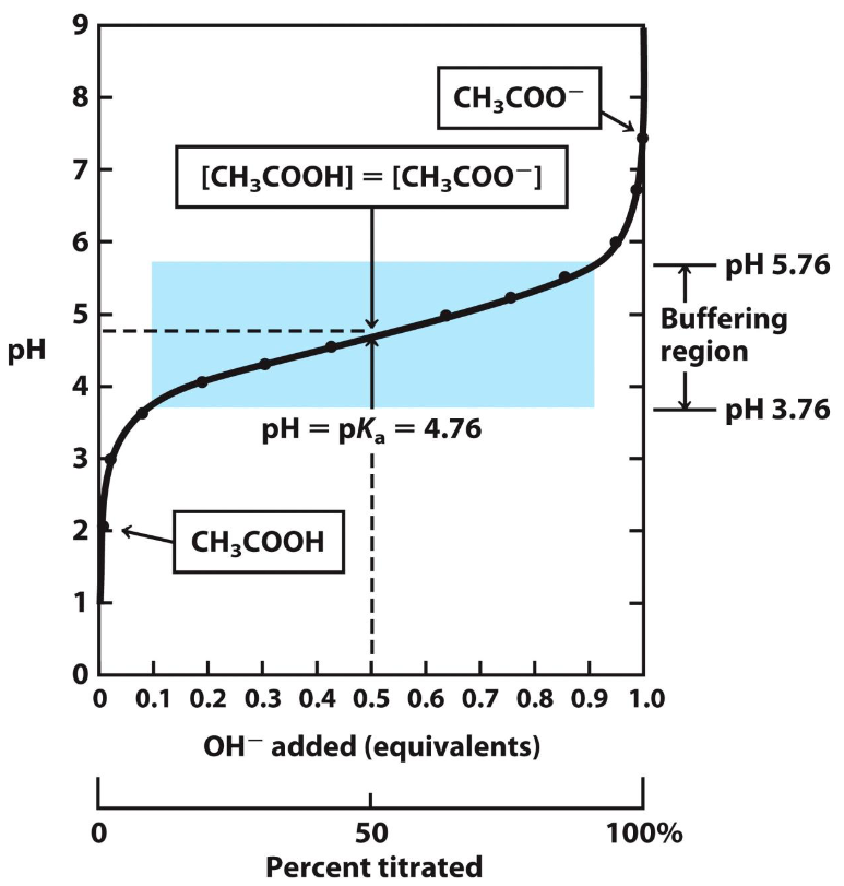 <p>At what range is [CH3COOH] greater than [CH3COO-] on this titration curve?</p>