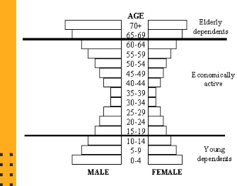 <p>What is this picture ?</p>