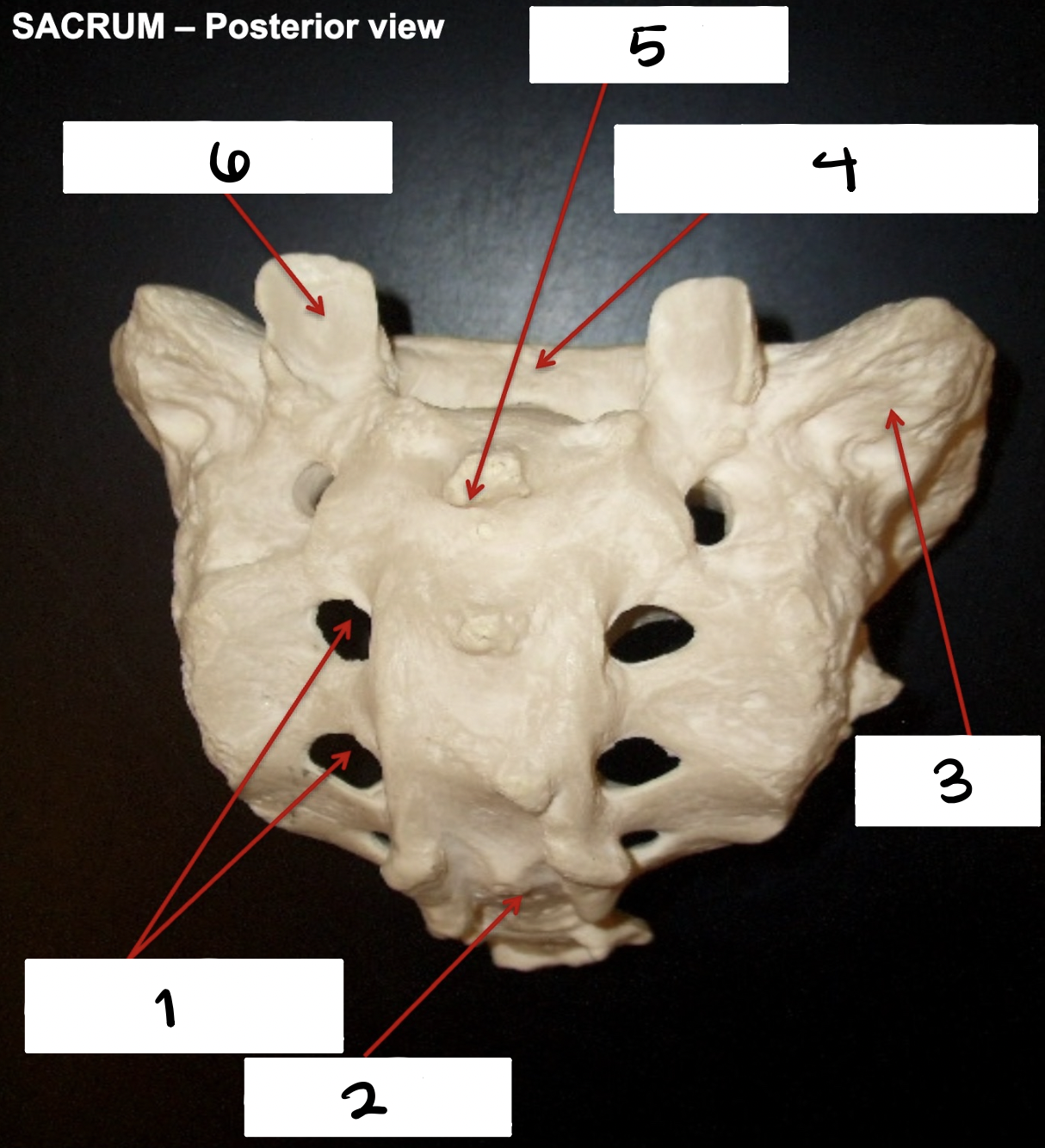 <p>what is 2 </p>