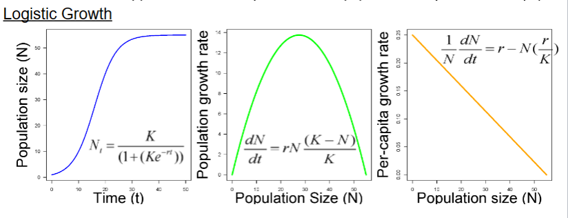 <p>where growth slows when the population density gets higher</p>