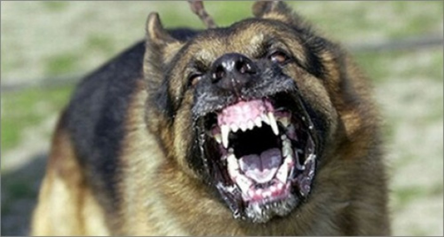 <p>Very dangerous; having or showing hateful feelings</p>