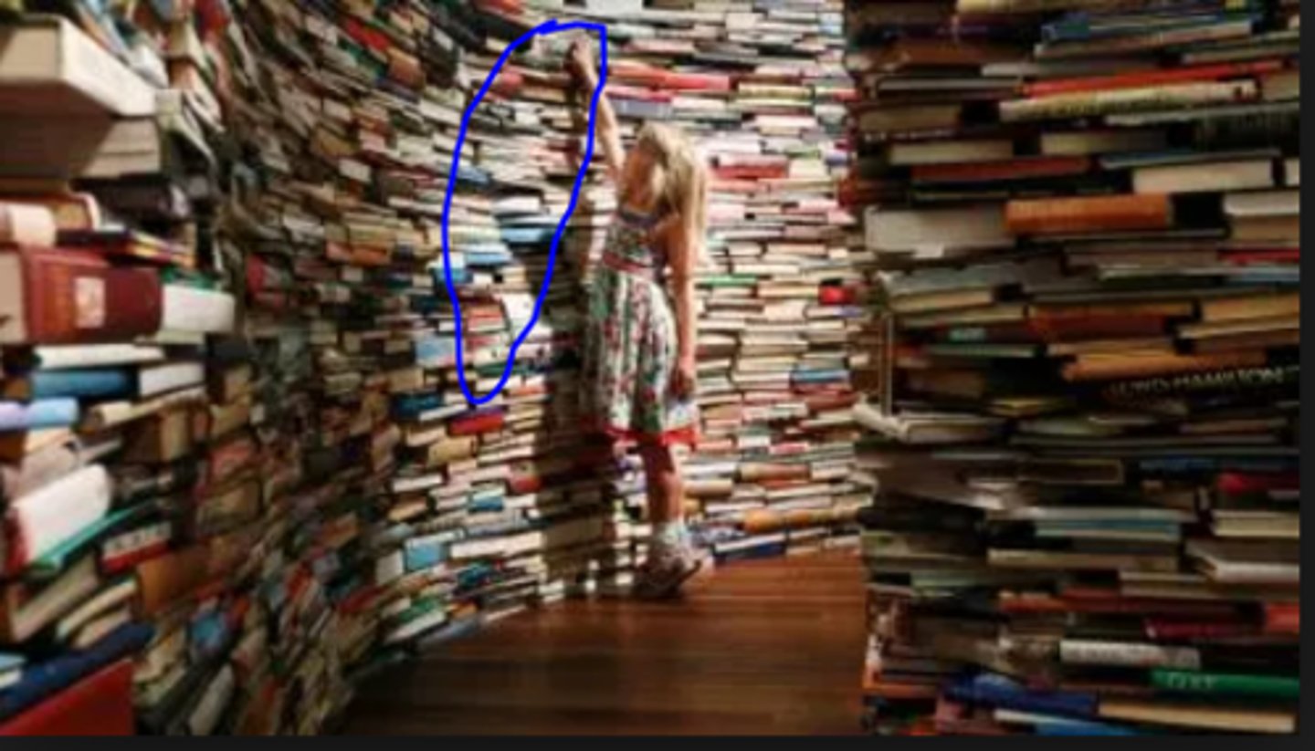 <p>those books (over there)</p>