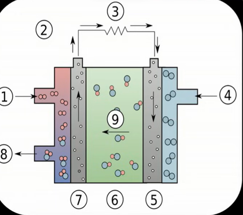 <ol><li><p>Hydrogen is fed here, and reacts with the OH- ions. The reaction is 2H<sub>2(g)</sub>+ 4OH<sup>-</sup><sub>(aq)</sub>→ 4H<sub>2</sub>O<sub>(l)</sub> +4e<sup>-</sup></p></li><li><p>Flow of electrons through the platinum electrode, platinium is a good conductor of electricity but is inert</p></li><li><p>Flow of electrons is used to power something</p></li><li><p>Oxygen is fet here, where it reacts with water and 4 electrons from step one to make OH- ions. The reaction is O<sub>2(g)</sub>+2H<sub>2</sub>O<sub>(l)</sub>+4e<sup>-</sup> → 4OH-</p></li><li><p>Electrons flow to the negative electrode made from platinium</p></li><li><p>The electrolyte is made from KOH solution, carries the OH ions from cathode to anode</p></li><li><p>electrons flow from the positive electrode which is made from platinum</p></li><li><p>Water is emitted the product of step 1</p></li><li><p>OH ions from reaction 4 are carried towards the anode via the electrolyte</p></li></ol><p></p>