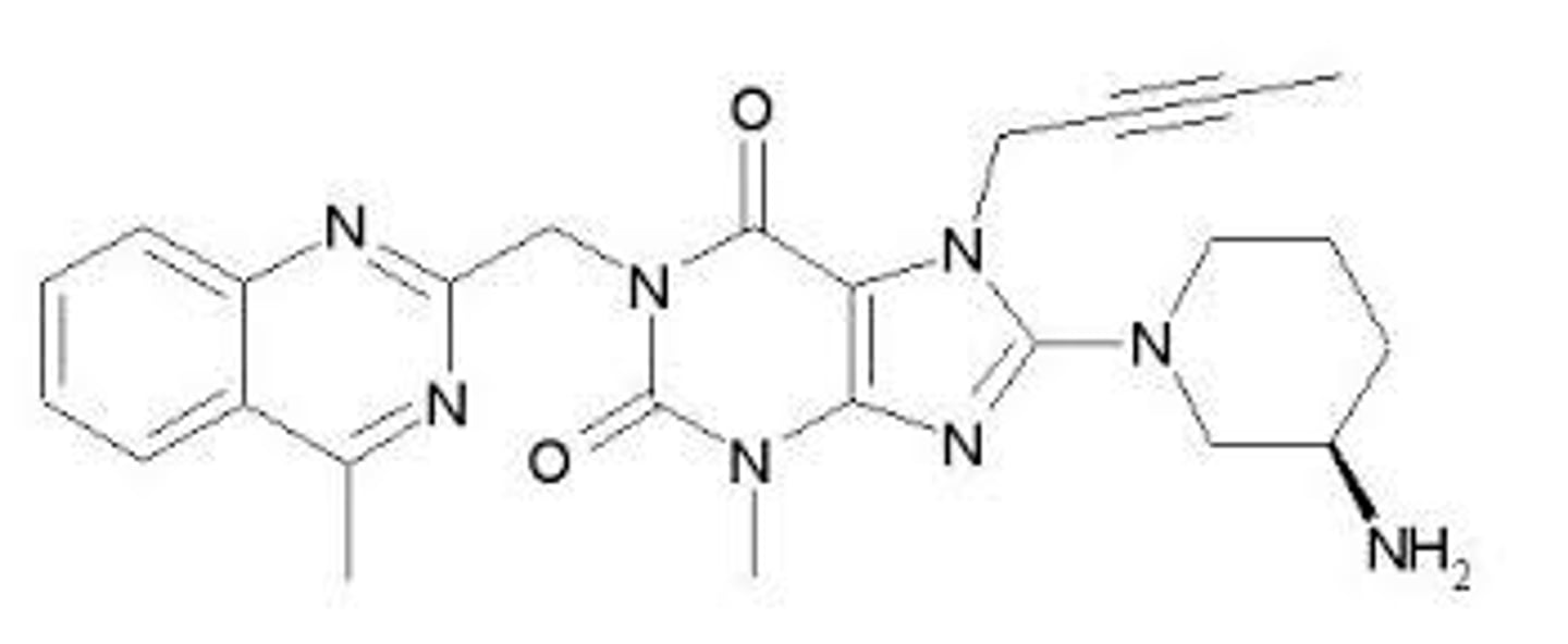 <p><strong>Brand: </strong>Tradjenta</p><p><strong>Class: </strong>DPP-4 Inhibitor</p><p><strong>MOA: </strong>Binds to and inhibits the dipeptidyl peptidase 4 enzyme, resulting in prolonged incretin levels.</p>