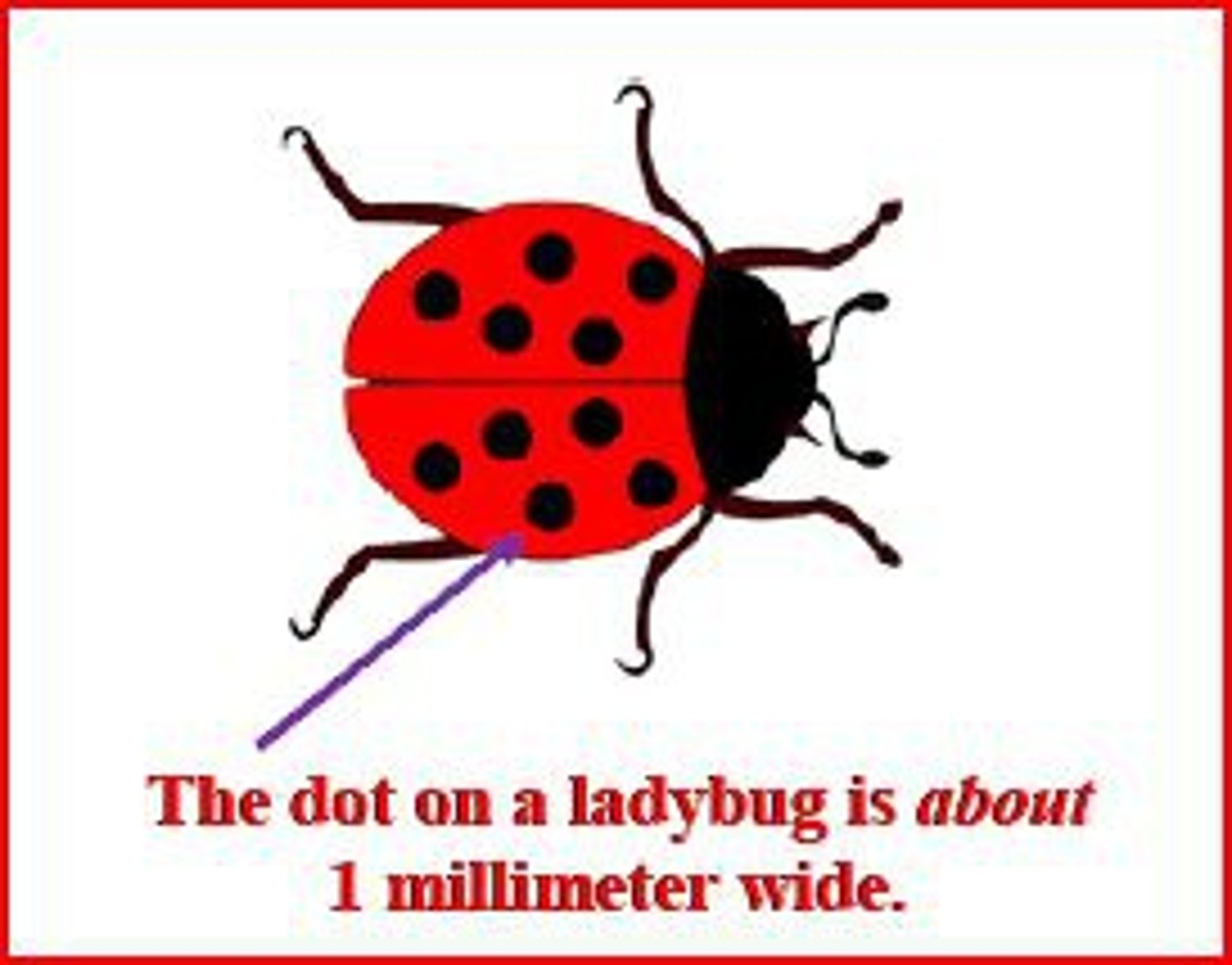 <p>A metric unit of length 1/1,000 of a meter</p>