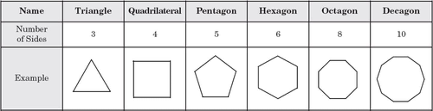 <p>a triangle has 3 sides. a quadrilateral has 4 sides. a pentagon has 5 sides. a hexagon has 6 sides. a octagon has 8 sides. a decagon has 10 sides.</p>