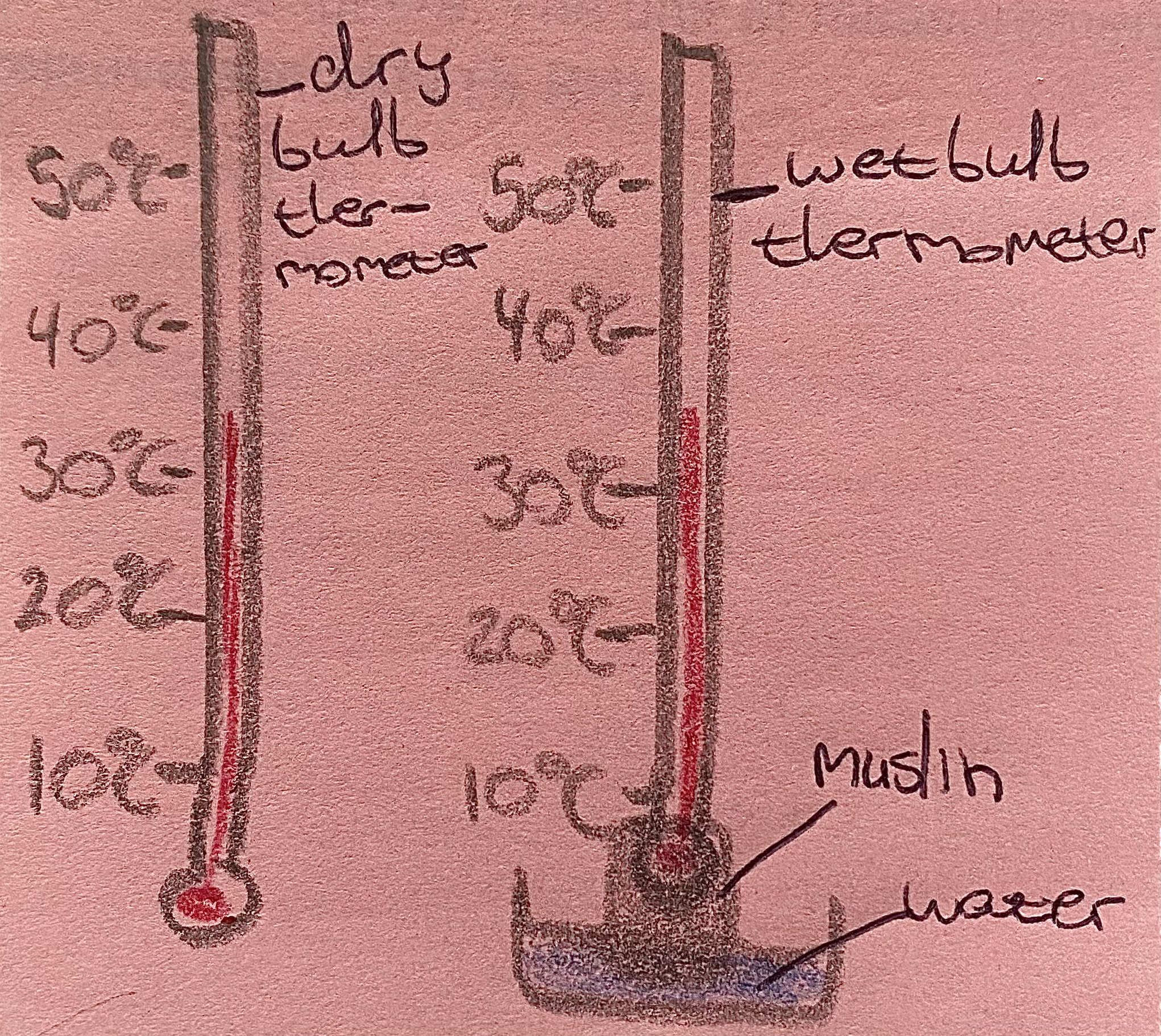 <p>A wet and dry bulb thermometer (hygrometer) measures humidity as relative humidity (% RH). It has two thermometers: one dry and one with a wet muslin-covered bulb. Evaporation from the wet bulb cools it. If air is saturated with water vapour, the water will not evaporate, giving the temperature of saturated air . It is kept in a Stevenson screen. High % RH means rain is more likely if the air cools and condensation occurs.</p>