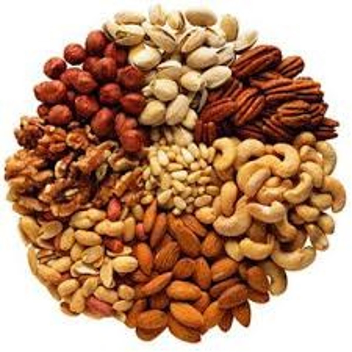 <p>nuts</p>