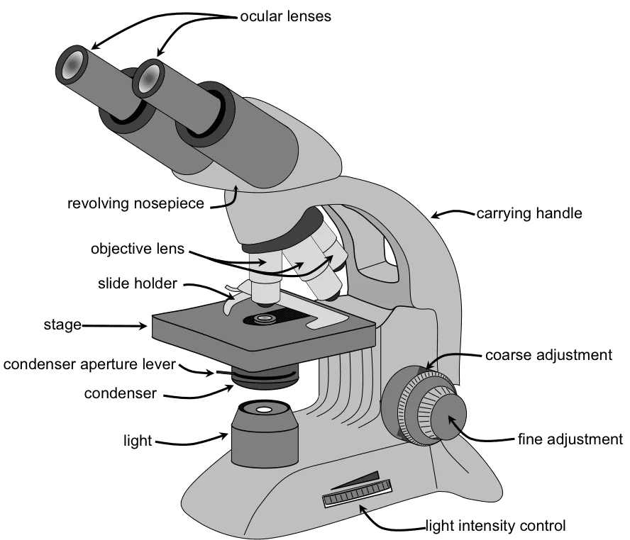 <p>parts</p>