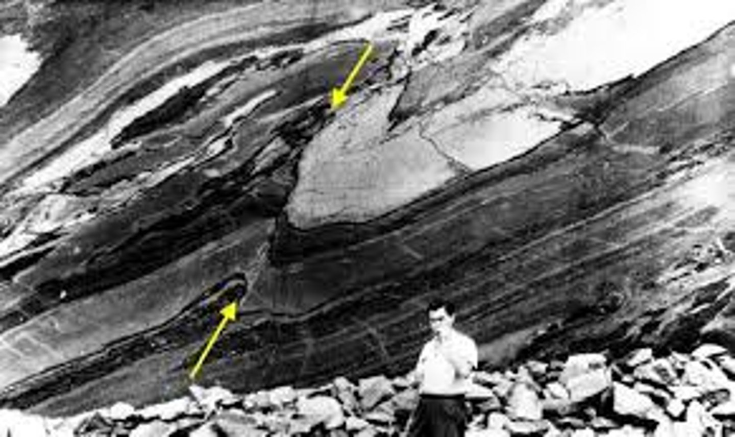 <p>reverse fault</p>