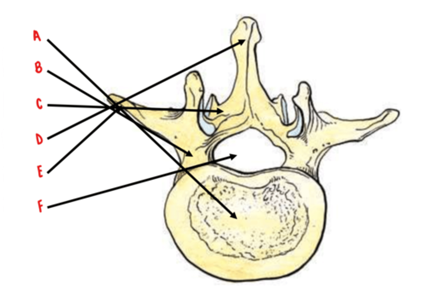 <p>Identify D</p>