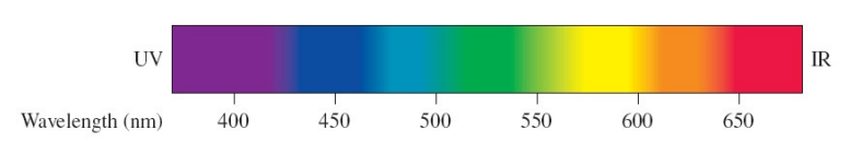<p>Often falls within the visible spectrum (400–700 nm), causing them to appear colored</p>
