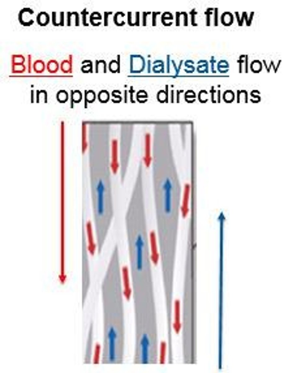 <p>Counter current flow; blood flows in one direction while dialysate flows in the opposite direction, establishing a concentration gradient.</p>