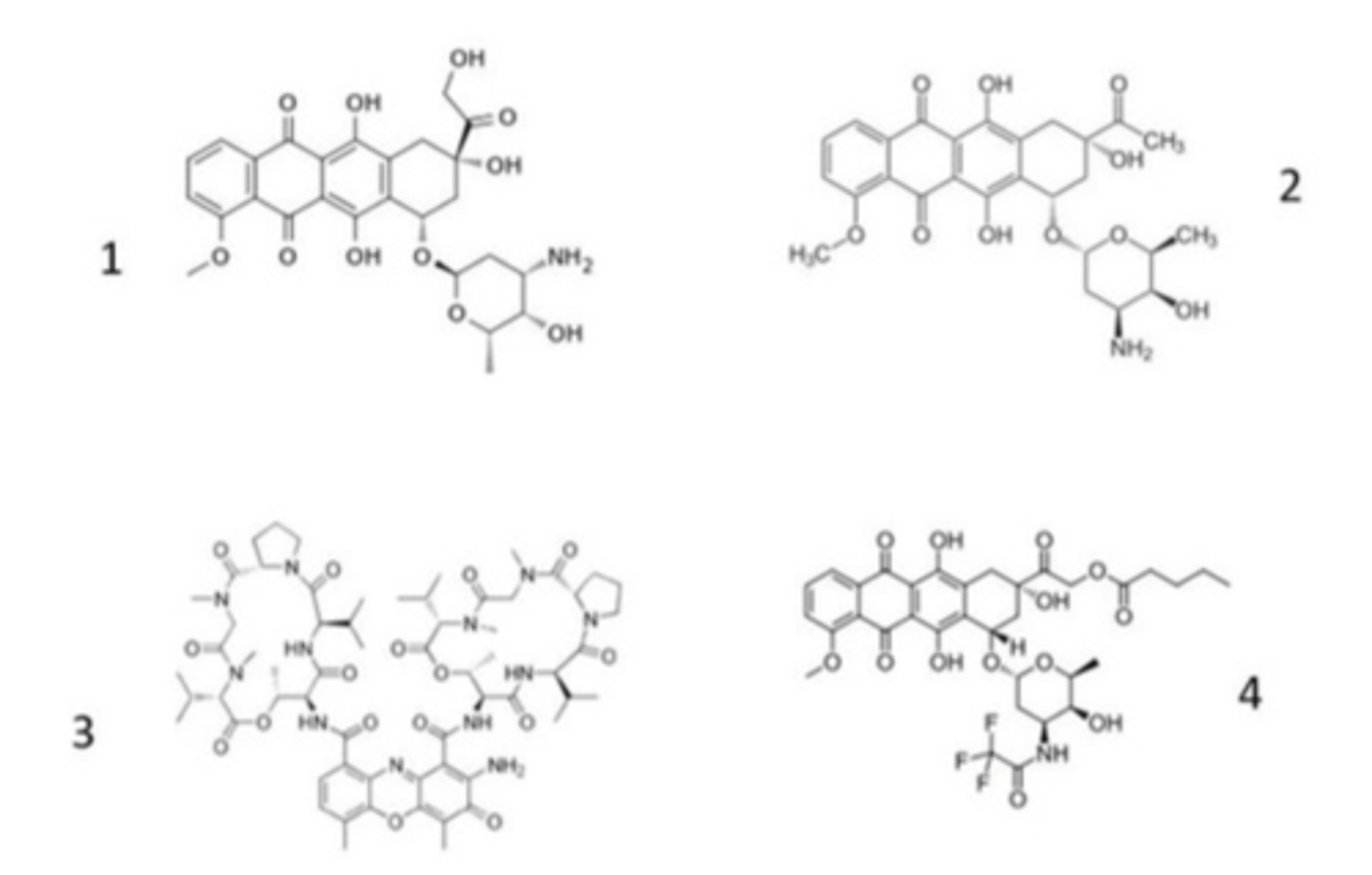 <p>Which antineoplastic antibiotic is not a DNA intercalator?</p>