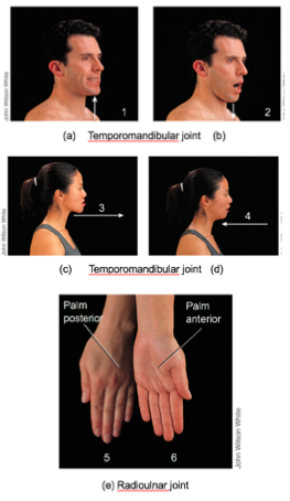 Pronation