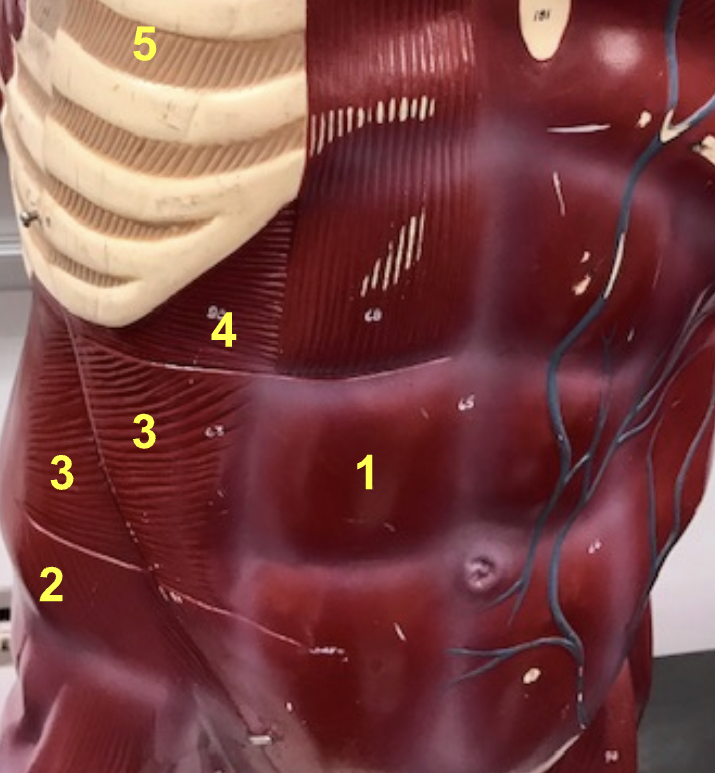 <p>What Is 3 Indicating</p>