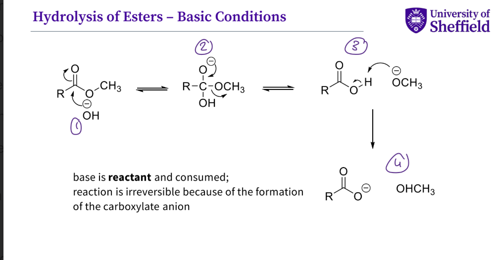 <ol><li><p>the hydroxyl group attacks the carbonyl , the double bond O breaks </p></li><li><p>the lone pair of electrons refirm the double bond , the single oxygen bond breaks </p></li><li><p>the - vely charged group now attack the hydrogen which then causes the bond to break </p></li><li><p>a carboxylate anion is formed and an alcohol </p></li><li><p></p></li></ol><p></p>