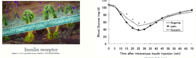 <p>they are receptors activated by a wide variety of</p><p>mediators including growth factors, cytokines and hormones</p><p>• Major role in growth & cell division, inflammation,</p><p>immune responses</p><p>• Main types are receptor tyrosine kinases (RTKs), receptor</p><p>serine/threonine kinases and cytokine receptors</p><p>• Time course of effect is minutes to hours</p>