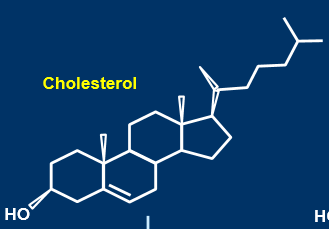 <ul><li><p>made from cholesterol </p></li><li><p>cholesterol stabilises cell membrane </p></li><li><p>insoluble in blood, need carrier proteins to transport them around the blood </p></li><li><p>binding proteins specific to each steroid hormone</p></li><li><p>enters the cell and has intracellular effects </p></li></ul><p></p>