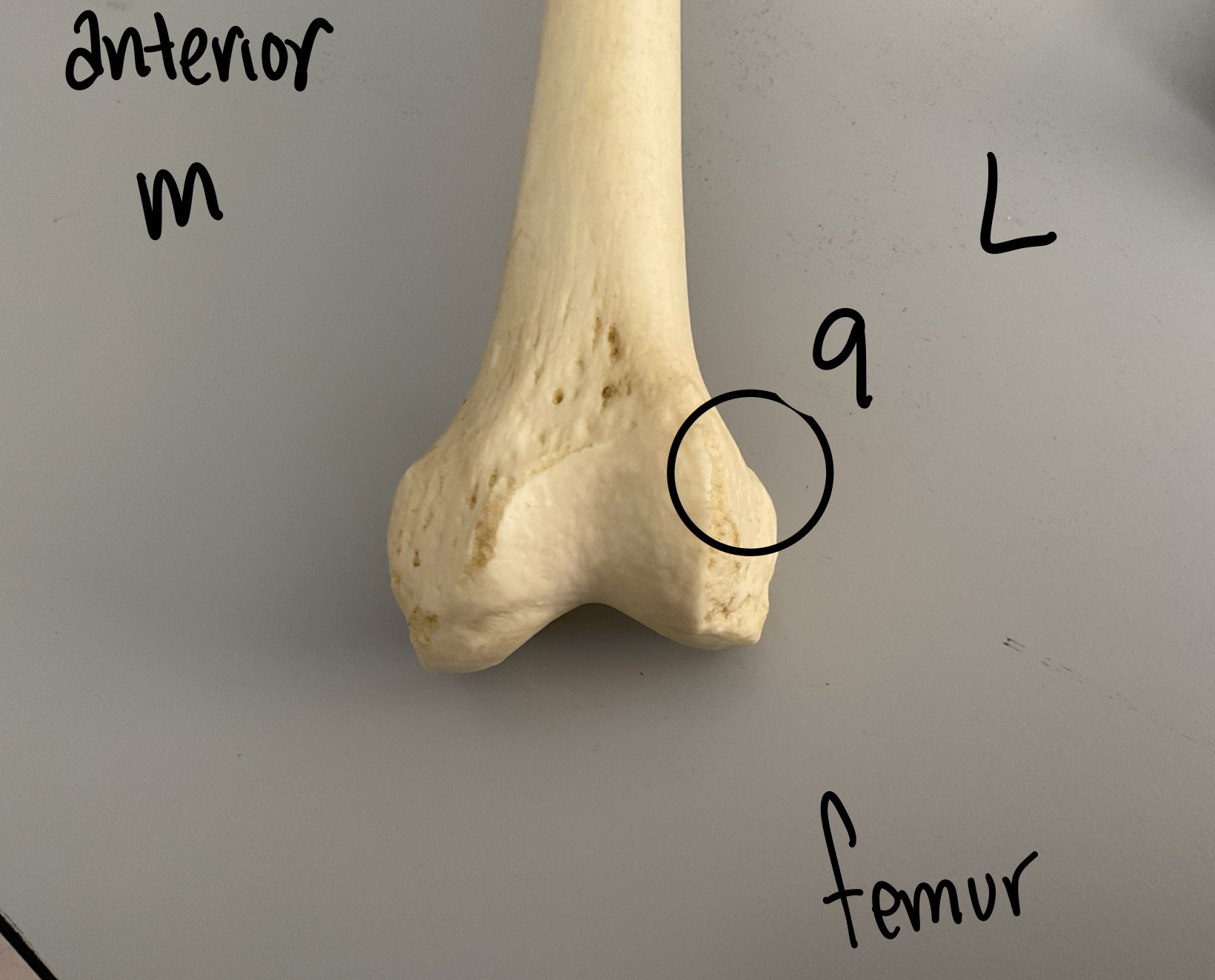 <p>9</p>