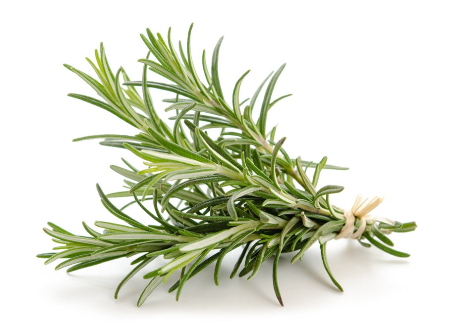 <p>розмарин</p>