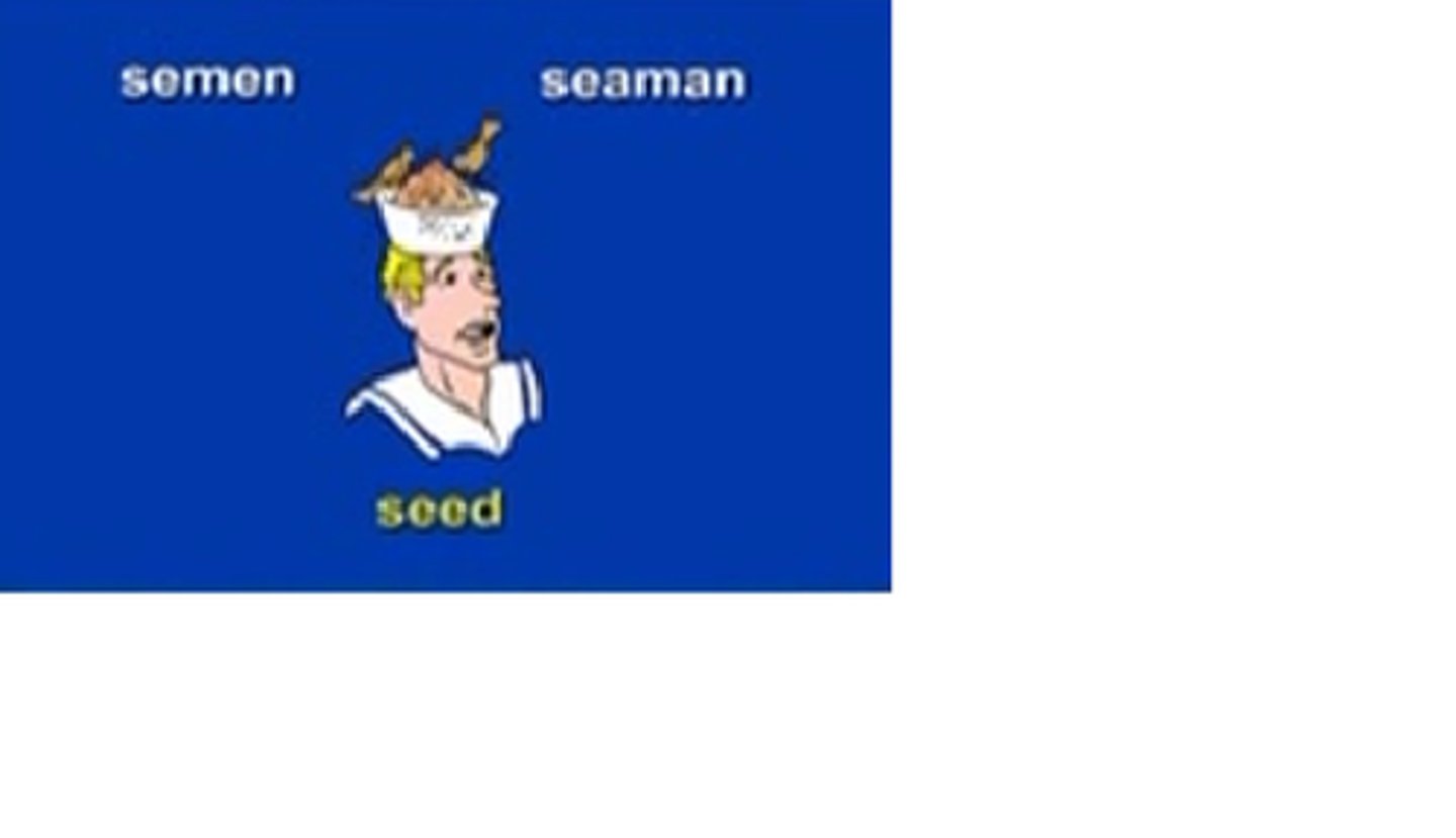 <p>seed</p>
