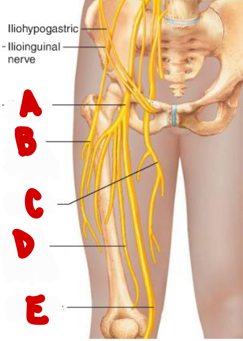 <p>c</p>