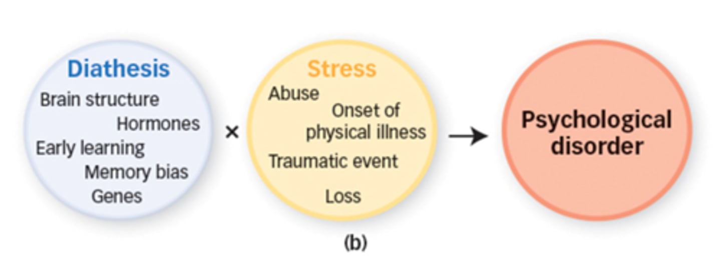 <p>States that the onset of mental illness involves the interaction of two key factors: a genetic predisposition and an environmental stressor of some kind</p>