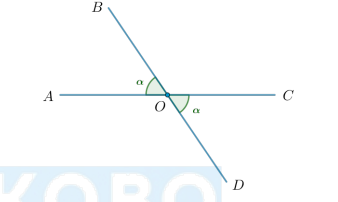 <p>Что это за углы и каково их свойство?</p>