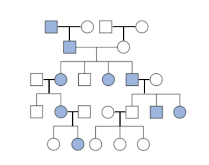 <p><span style="font-family: &quot;Times New Roman&quot;, serif">The “T”</span></p>