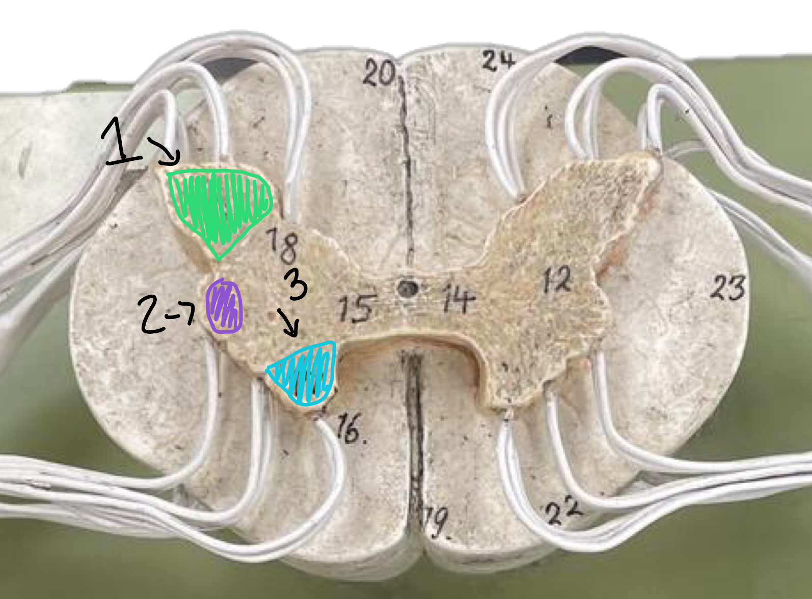 <p>1</p>