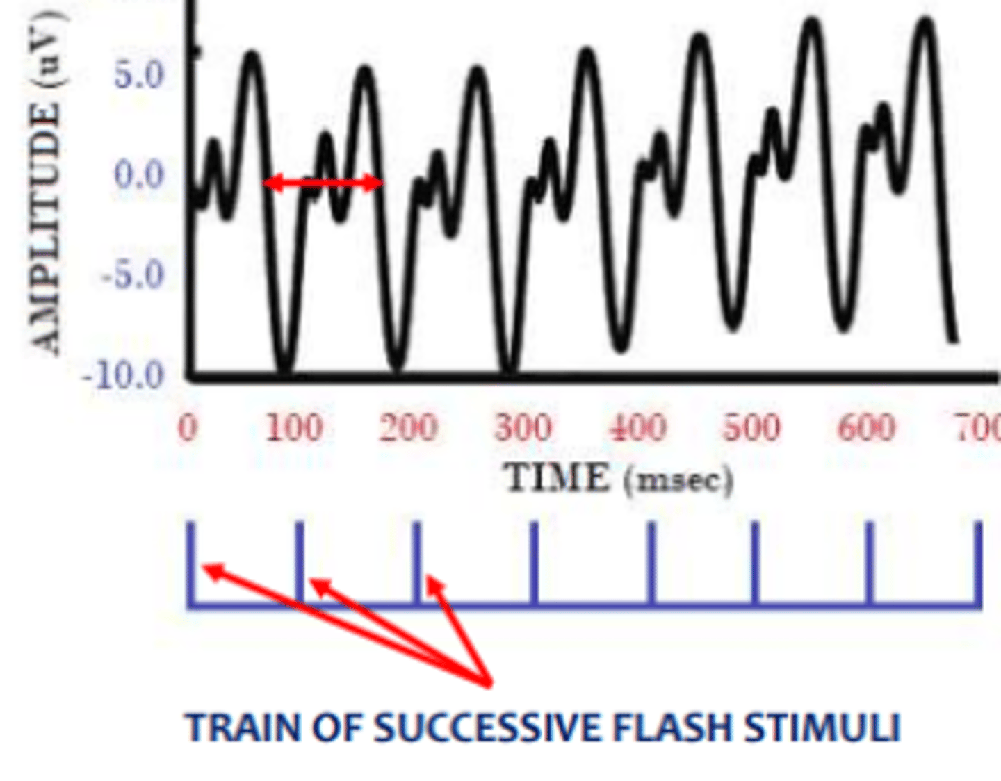 <p>response produced when there is repetitive and rapid stimulus presentation occurring before the visual system has time to recover.</p>