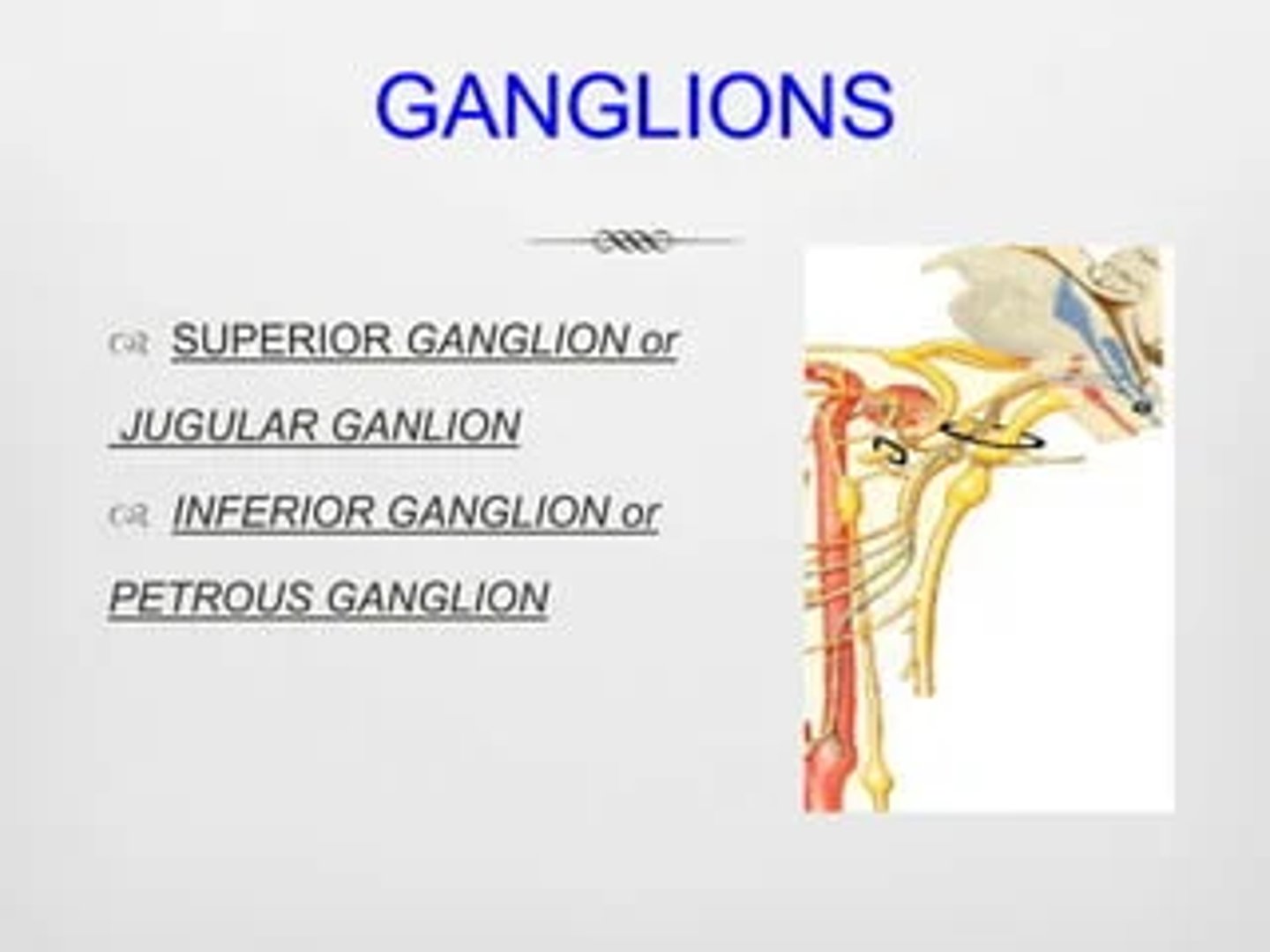 <p>1. Superior (or Jugular) Ganglion</p><p>2. Inferior (or Petrous) Ganglion</p><p>a ganglion is defined as a collection of nerve cell bodies -not axons- located outside the CNS (hence part of PNS). </p>