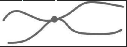 <p><span style="line-height: 19.425px;"><span>The diagram shows a chromosome at the start of mitosis.&nbsp;</span></span></p><p><span style="line-height: 17.2667px;"><span>&nbsp;</span></span><span style="line-height: 19.425px;"><span>Describe and explain the appearance of the chromosome.&nbsp; (2) </span></span></p>