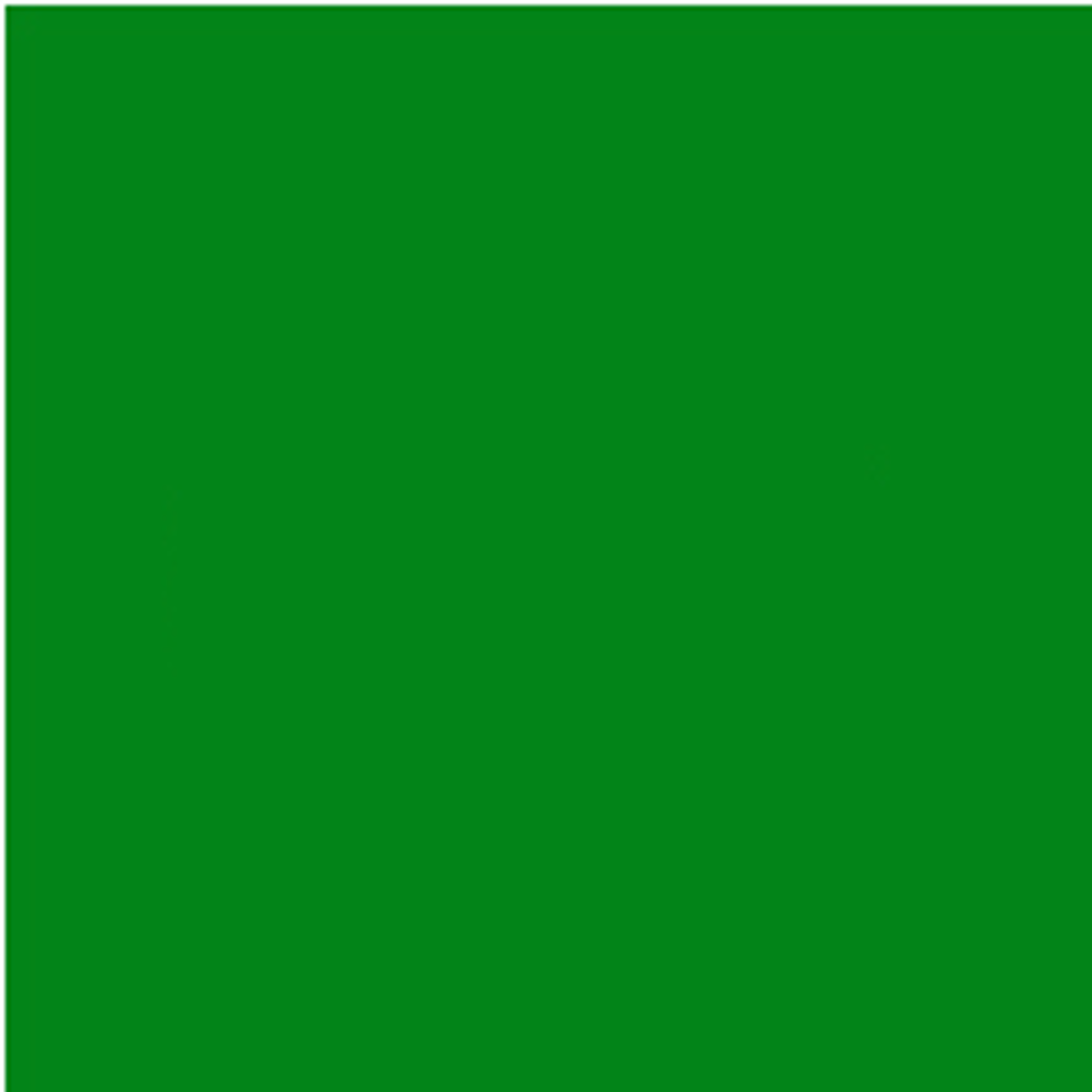 <p>lǜ sè (green color)</p>