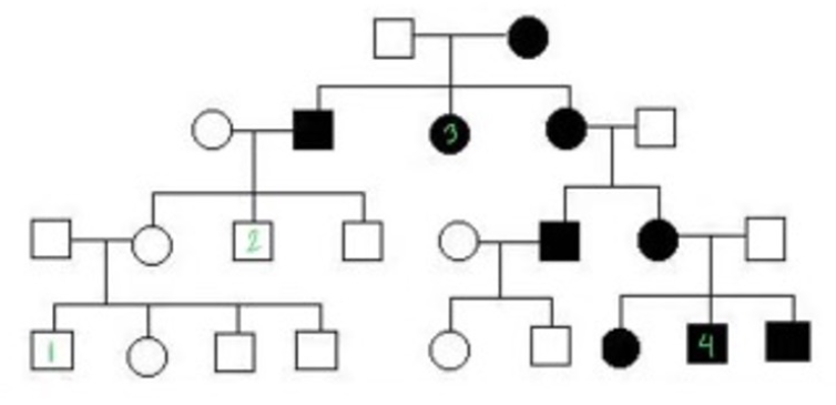 <p><span>Using the pedigree below, what kind of disease would you expect to be tracking? And why is individual number 2 unaffected?</span></p>