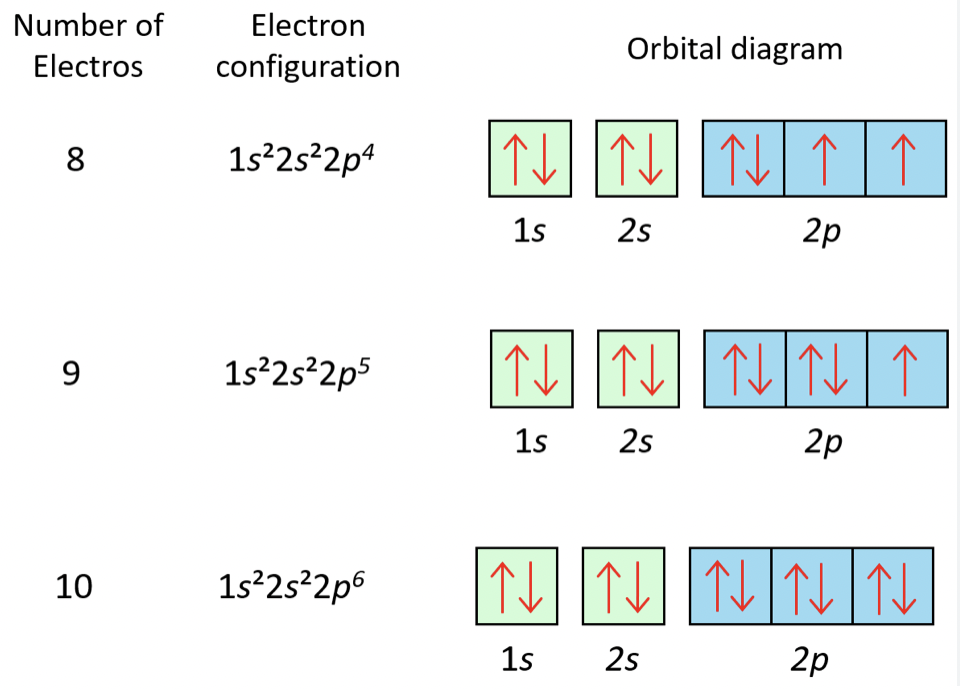 knowt flashcard image