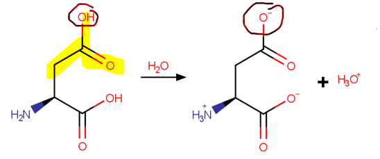 <p>Polar-Acidic (2) </p>