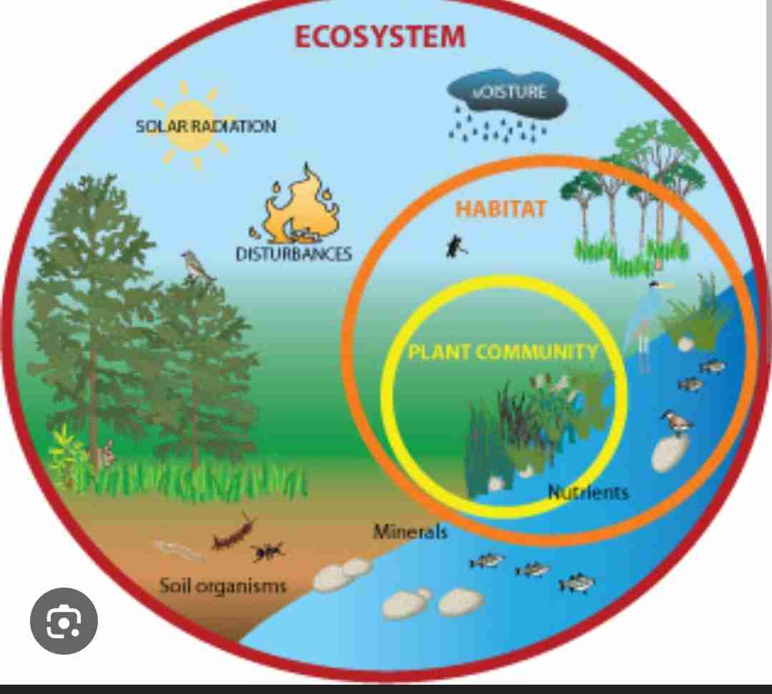 <p>Non living and living things (organisms) that co exist in a biome.</p>