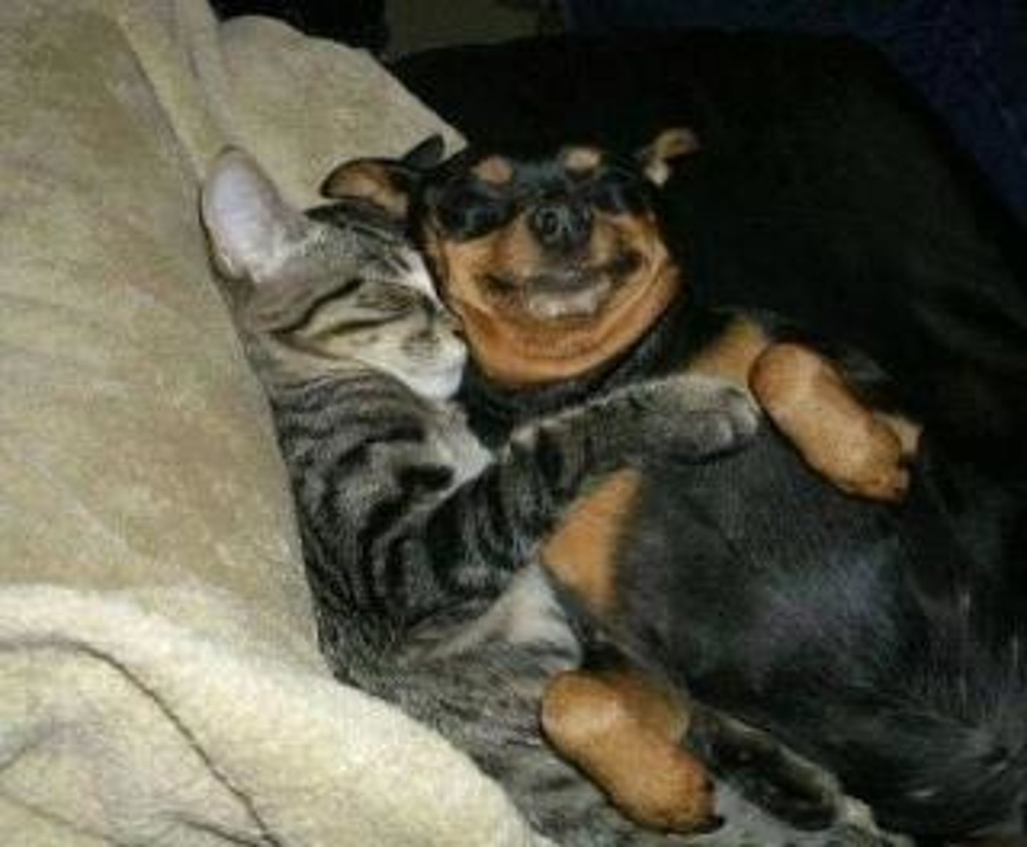 <p>pleasant and friendly, often despite a difficult situation</p>