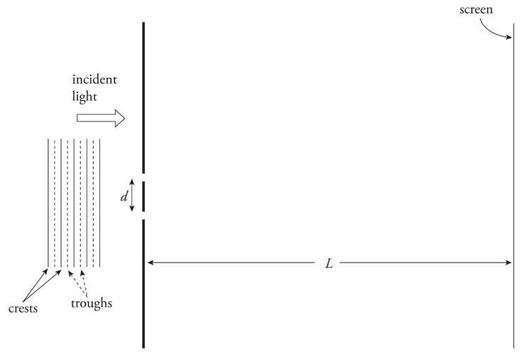 <p>The incident light on a barrier that contains two narrow slits, separated by distance d. On the right there is a screen whose distance from barrier L, is much greater than d.</p>
