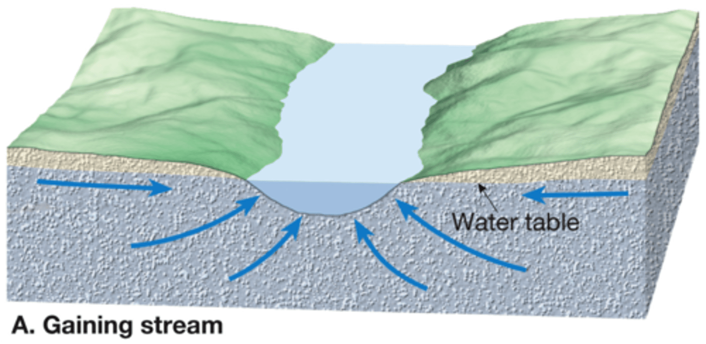 <p>Intersects water table and is fed in part by groundwater</p>