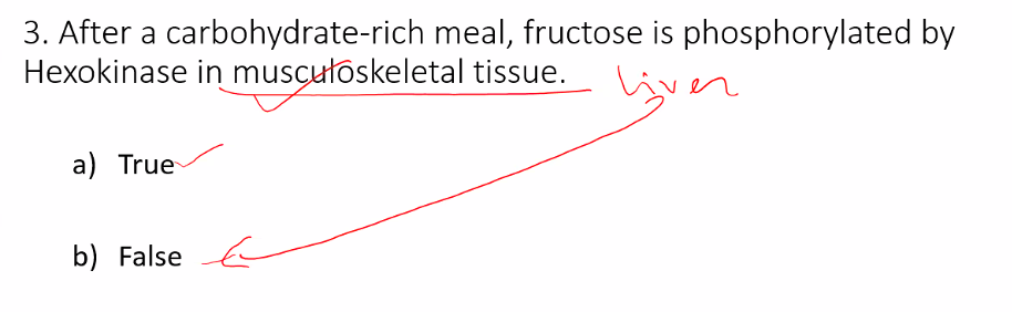<p>A) </p><p>in the muskoloskeletal system, it’s true</p><p>in the liver, this is false. </p>